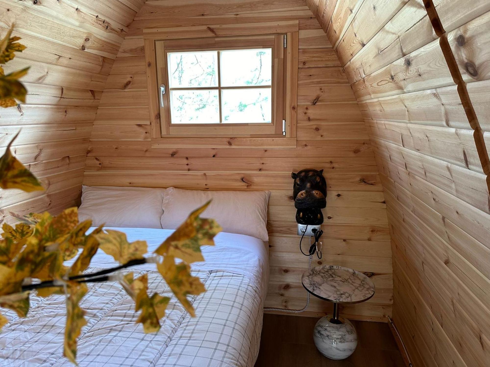 Camping Ripolles エクステリア 写真