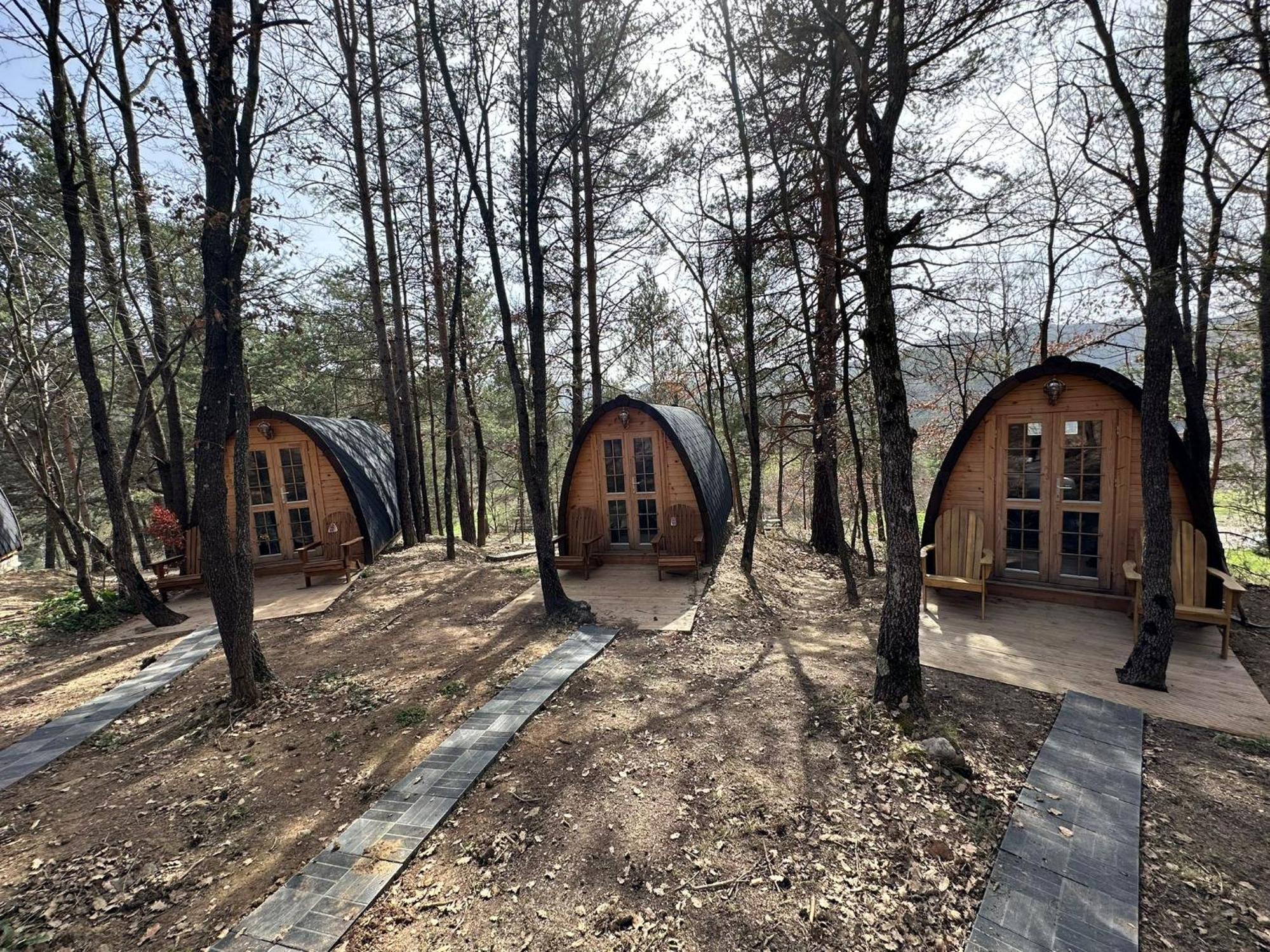 Camping Ripolles エクステリア 写真
