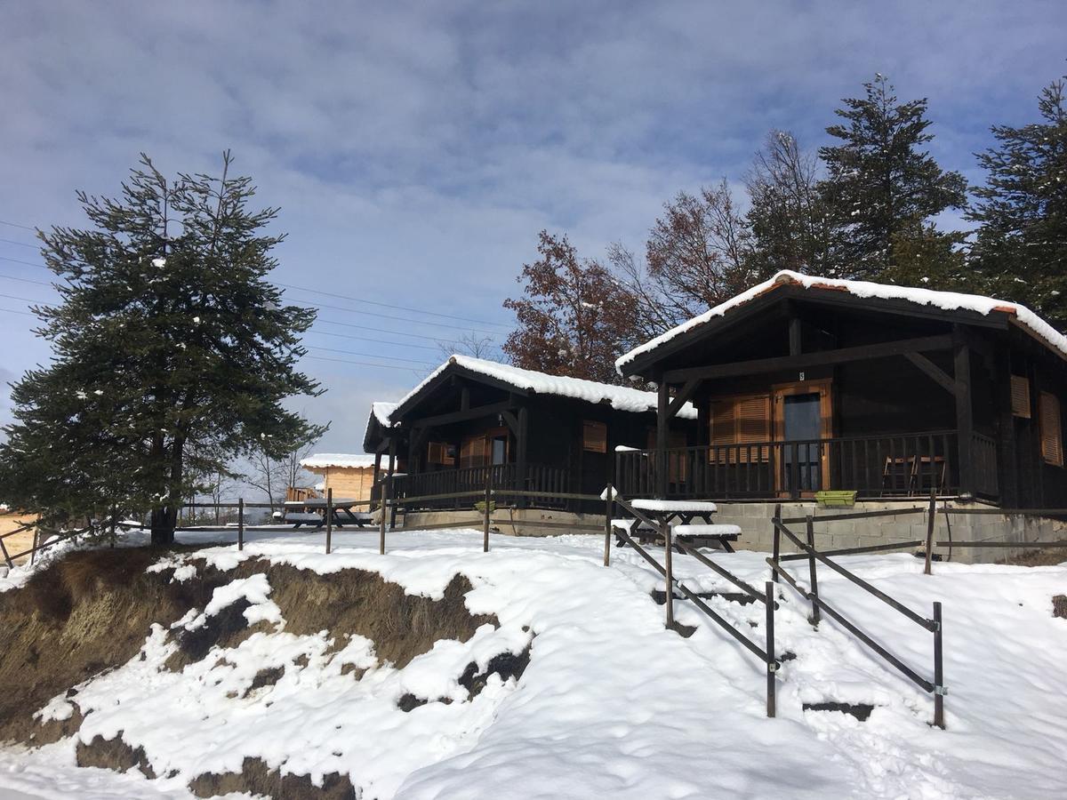 Camping Ripolles エクステリア 写真