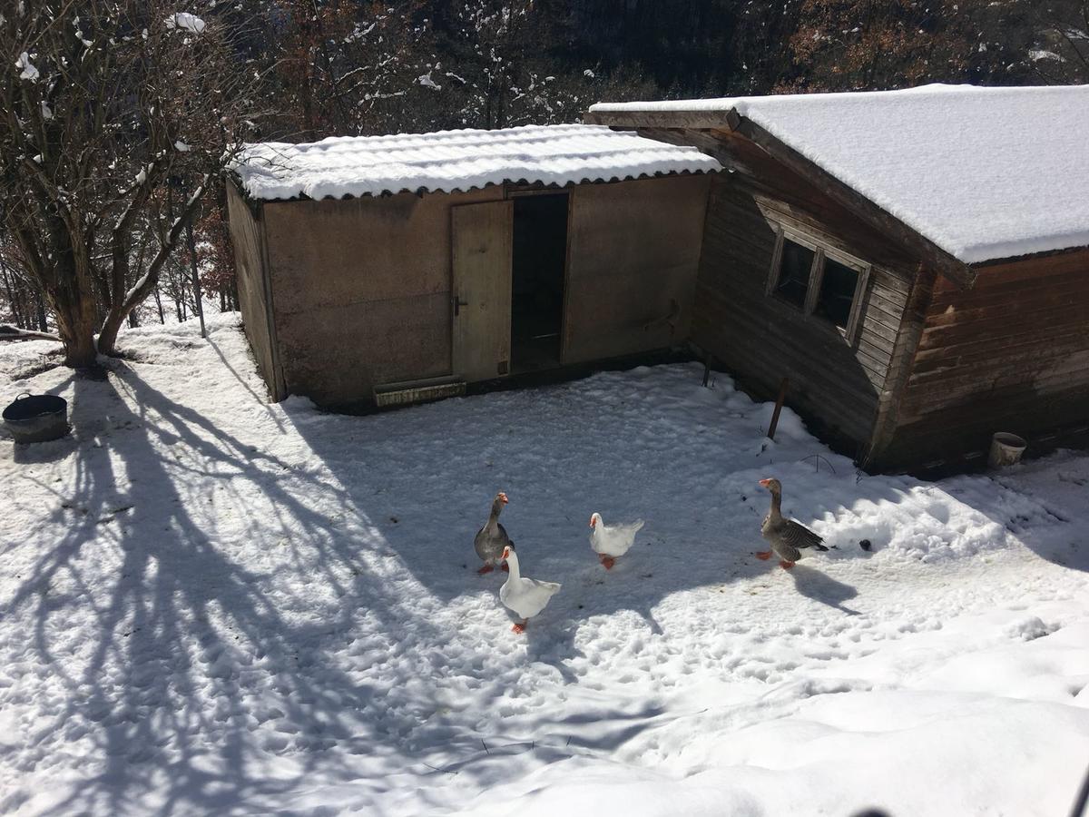 Camping Ripolles エクステリア 写真